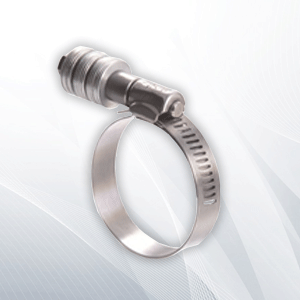 Worm Drive Clamp 