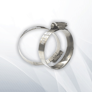 Worm Drive Clamp 